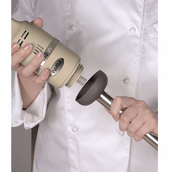 Immersion Blender Fama FM250VV200